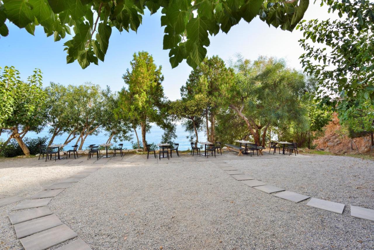 Ilingas Mare Aparthotel Khóra Sfakíon Eksteriør bilde